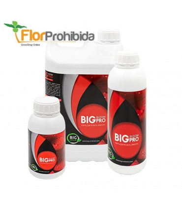 Abono de floración Big Bloom Pro (Big Nutrients).