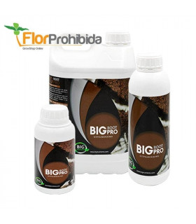 Big Root Pro de Big Nutrients - Estimulador y potenciador de raíces ecológico.
