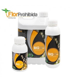 Big Quality Resin Pro (Big Nutrients) - Estimulador potenciador de floración para marihuana.