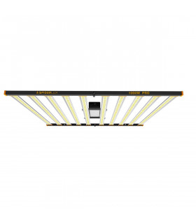 LUMINARIA LED SPIDERLUX PRO 1000W. Equipo de iluminación vista frontal