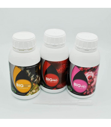 KIT + SABOR (Big Organic)