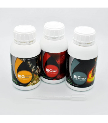 KIT + POTENCIA (Big Nutrients Pro) - FORMATO PEQUEÑO