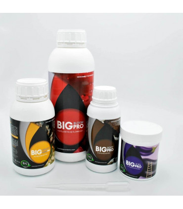 KIT AUTOFLORECIENTES (Big Nutrients Pro) FORMATO GRANDE