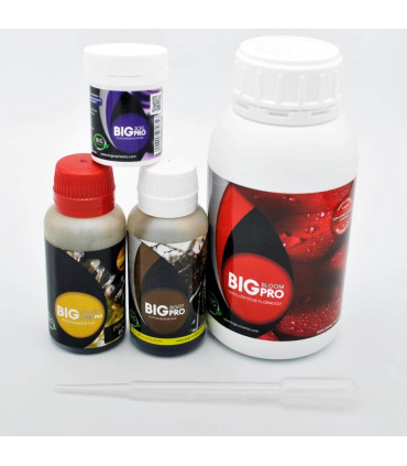 KIT AUTOFLORECIENTES (Big Nutrients Pro) FORMATO PEQUEÑO