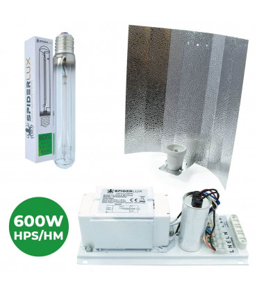KIT ILUMINACIÓN ABIERTO 600W PROFESIONAL SPIDERLUX