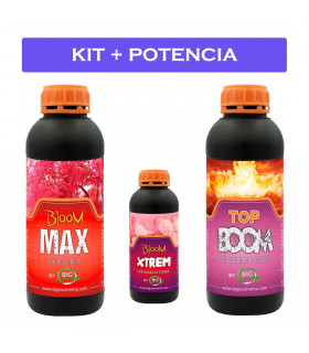 KIT + POTENCIA 0-M (Big Nutrients)