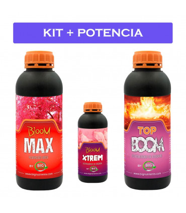 KIT + POTENCIA 0-M (Big Nutrients)