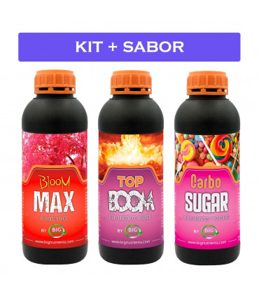 KIT + SABOR 0-M (Big Nutrients)