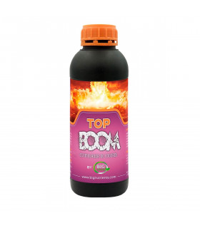 TOP BOOM (Big Nutrients)