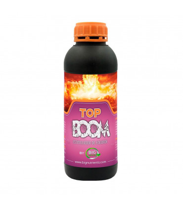 TOP BOOM (Big Nutrients)