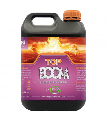 TOP BOOM (Big Nutrients)