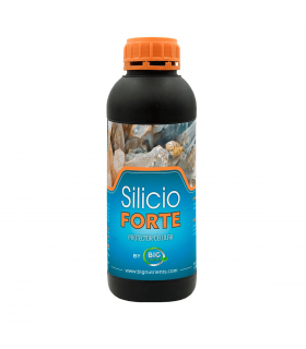 SILICIO FORTE (Big Nutrients)