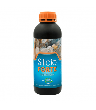 SILICIO FORTE (Big Nutrients)
