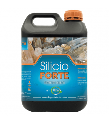 SILICIO FORTE (Big Nutrients)