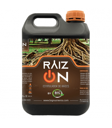 RAIZON (Big Nutrients)