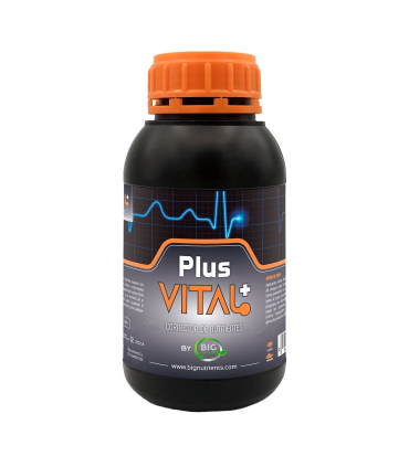 PLUS VITAL + (Big Nutrients)