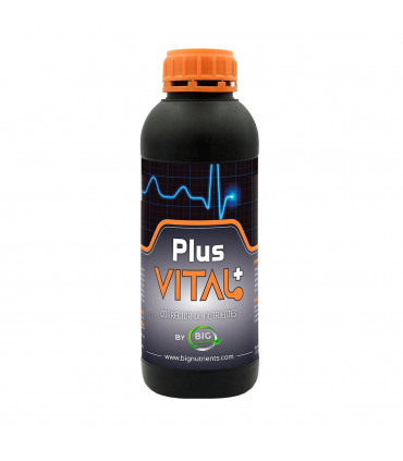 PLUS VITAL + (Big Nutrients)
