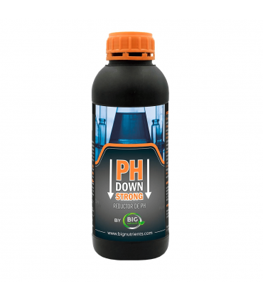 PH DOWN STRONG (Big Nutrients)