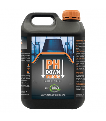 PH DOWN STRONG (Big Nutrients)