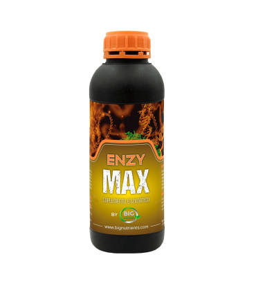 ENZYMAX (Big Nutrients)