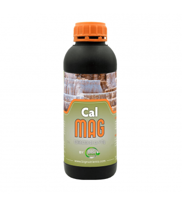 CALMAG (Big Nutrients)