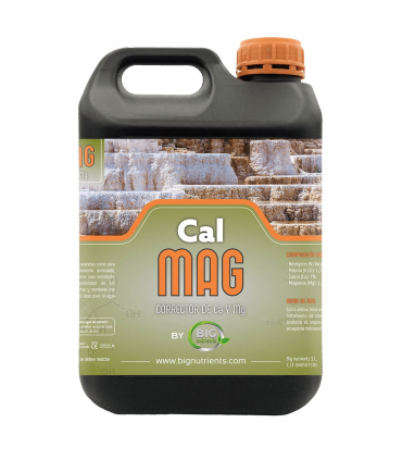 CALMAG (Big Nutrients)