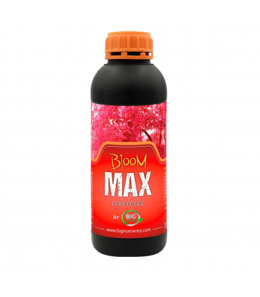 BLOOM MAX (Big Nutrients)