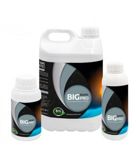 BIG BANG PRO (Big Nutrients) - Estimulador de floración