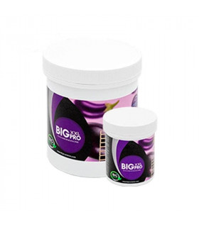 Big XXL Pro de Big Nutrients - Estimulador y potenciador de floración para marihuana.