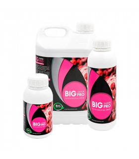 Big Sabor Pro de Big Nutrients - Estimulador y potenciador de floración para marihuana.