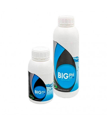 Big PH Down Pro - Reductor de pH para marihuana.